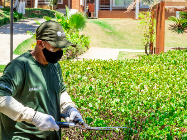 Vale a pena uma empresa tercerizar os serviços de jardinagem?